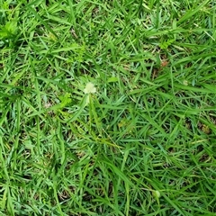 Unverified at suppressed - suppressed