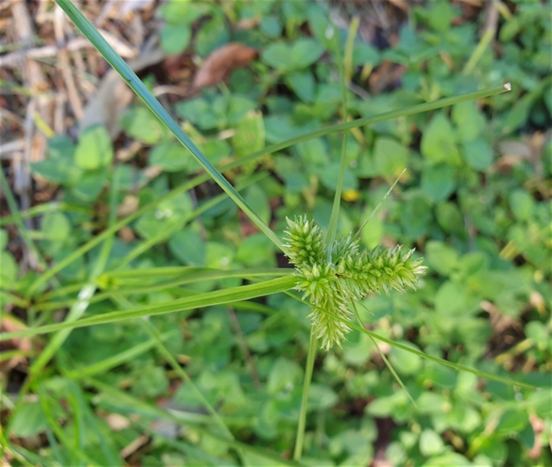 Unverified at suppressed - suppressed