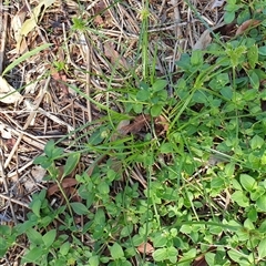 Unverified at suppressed - suppressed