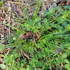 Unverified at suppressed - suppressed