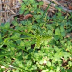 Unverified at suppressed - suppressed