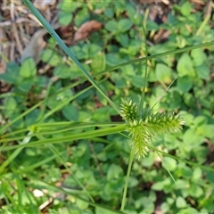 Unverified at suppressed - suppressed