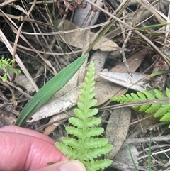 Unverified at suppressed - suppressed