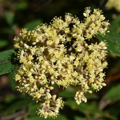 Unverified at suppressed - suppressed