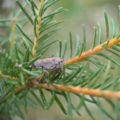 Unverified at suppressed - suppressed