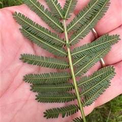 Unverified at suppressed - suppressed