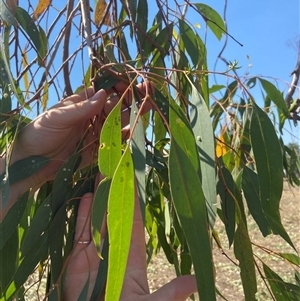 Unverified at suppressed - suppressed