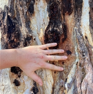 Unverified at suppressed - suppressed