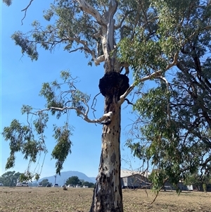 Unverified at suppressed - suppressed