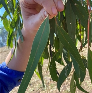 Unverified at suppressed - suppressed