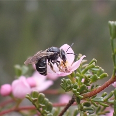 Unverified at suppressed - suppressed