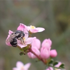 Unverified at suppressed - suppressed