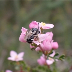 Unverified at suppressed - suppressed