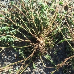 Unverified at suppressed - suppressed