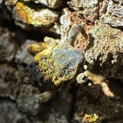 Unverified at suppressed - suppressed