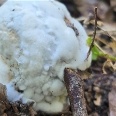 Unverified at suppressed - suppressed