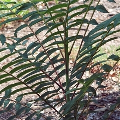 Unverified at suppressed - suppressed