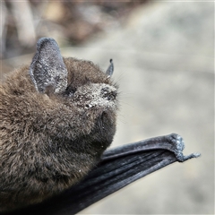 Unverified at suppressed - suppressed