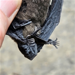 Unverified at suppressed - suppressed