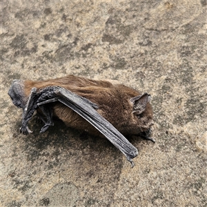 Unverified at suppressed - suppressed