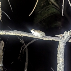 Unverified at suppressed - suppressed