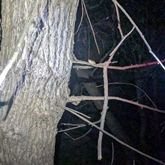 Unverified at suppressed - suppressed