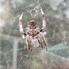 Unverified at suppressed - suppressed