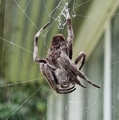 Unverified at suppressed - suppressed