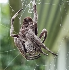 Unverified at suppressed - suppressed