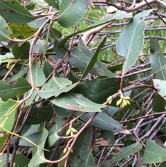 Unverified at suppressed - suppressed