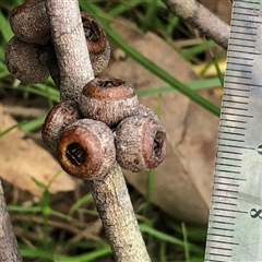 Unverified at suppressed - suppressed