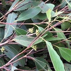 Unverified at suppressed - suppressed