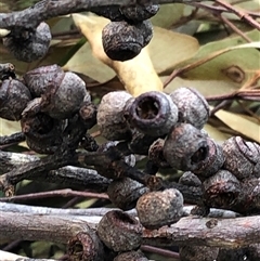 Unverified at suppressed - suppressed