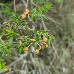 Unverified at suppressed - suppressed