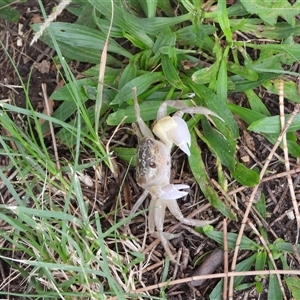 Unverified at suppressed - suppressed