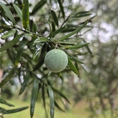 Unverified at suppressed - suppressed