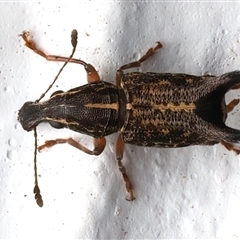 Unverified at suppressed - suppressed