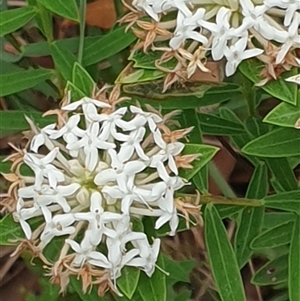 Unverified at suppressed - suppressed