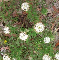 Unverified at suppressed - suppressed