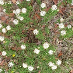 Unverified at suppressed - suppressed