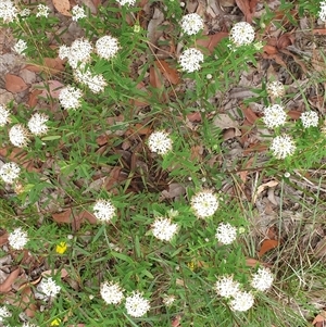 Unverified at suppressed - suppressed