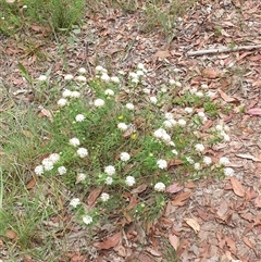 Unverified at suppressed - suppressed