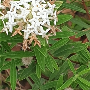 Unverified at suppressed - suppressed