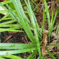 Unverified at suppressed - suppressed