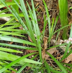 Unverified at suppressed - suppressed