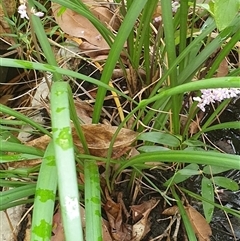 Unverified at suppressed - suppressed