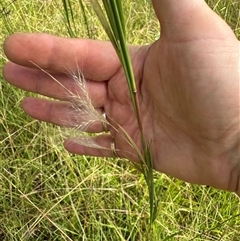 Unverified at suppressed - suppressed