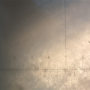 Unverified at suppressed - suppressed