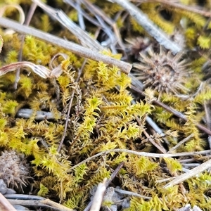 Unverified at suppressed - suppressed