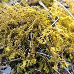 Unverified at suppressed - suppressed